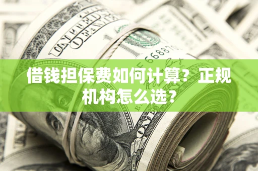 济南借钱担保费如何计算？正规机构怎么选？