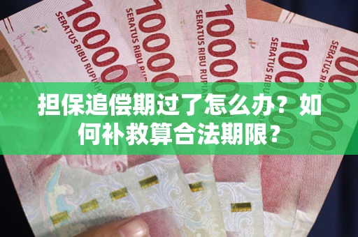 济南担保追偿期过了怎么办？如何补救算合法期限？