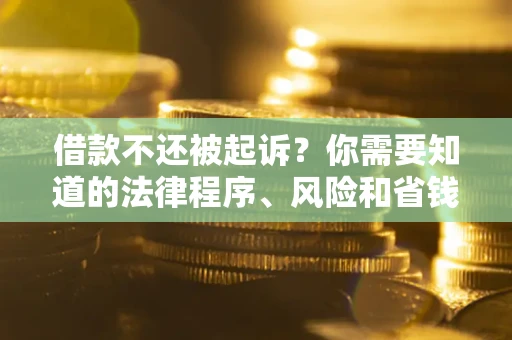 济南借款不还被起诉？你需要知道的法律程序、风险和省钱技巧